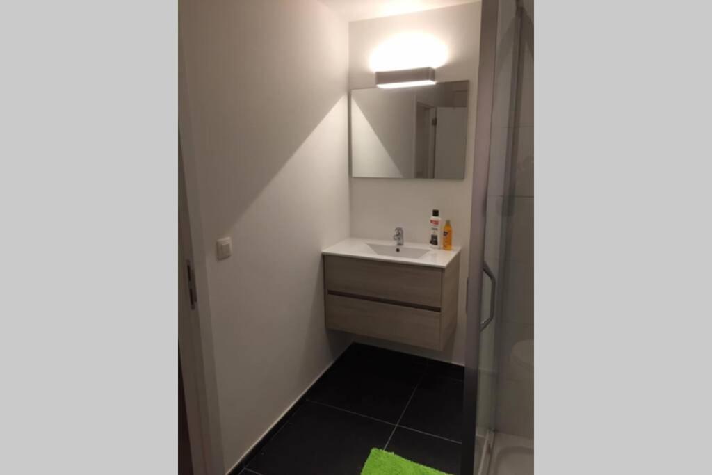 Appartement Duplex pour 3-4 personnes à Ciney Exterior foto